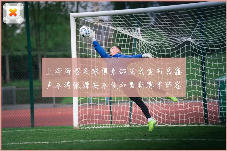 上海海港足球俱乐部正式宣布岳鑫卢永涛张源安永佳加盟新赛季阵容更新