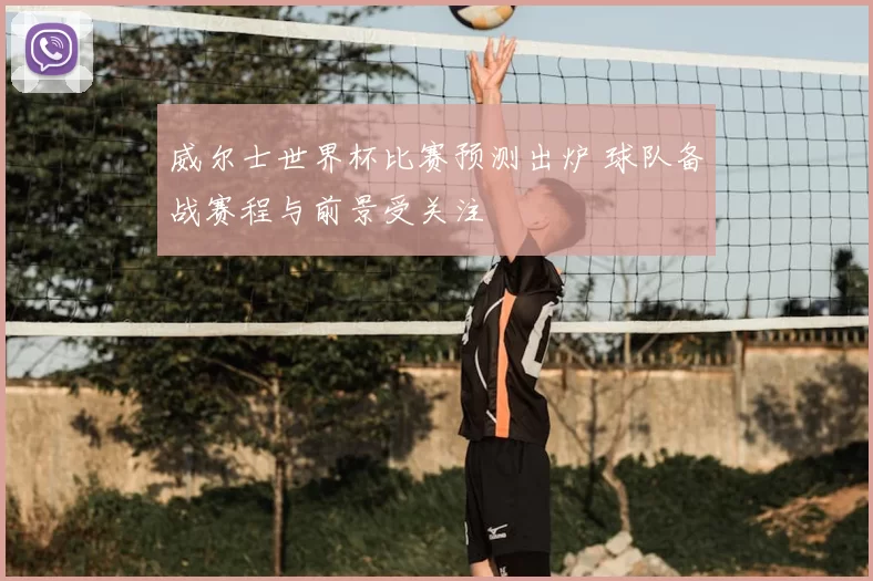威尔士世界杯比赛预测出炉 球队备战赛程与前景受关注