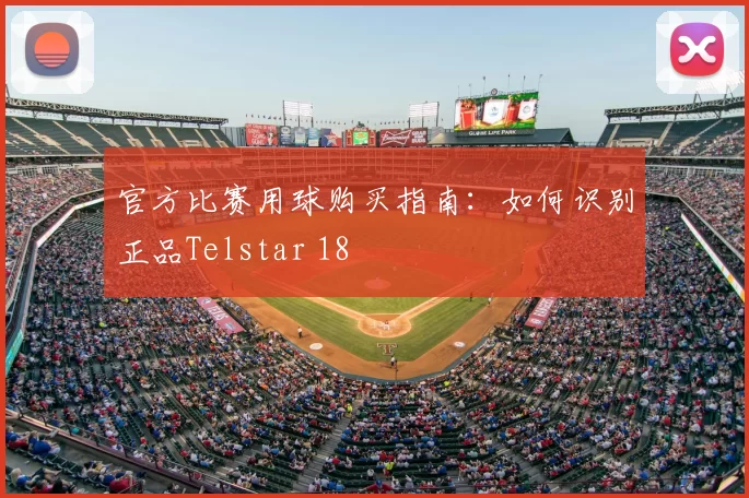 官方比赛用球购买指南：如何识别正品Telstar 18