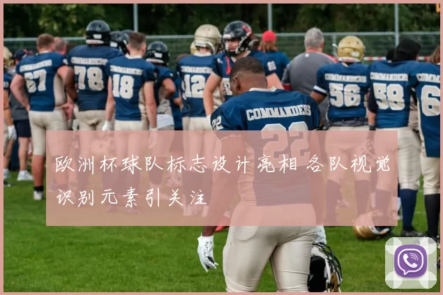欧洲杯球队标志设计亮相 各队视觉识别元素引关注