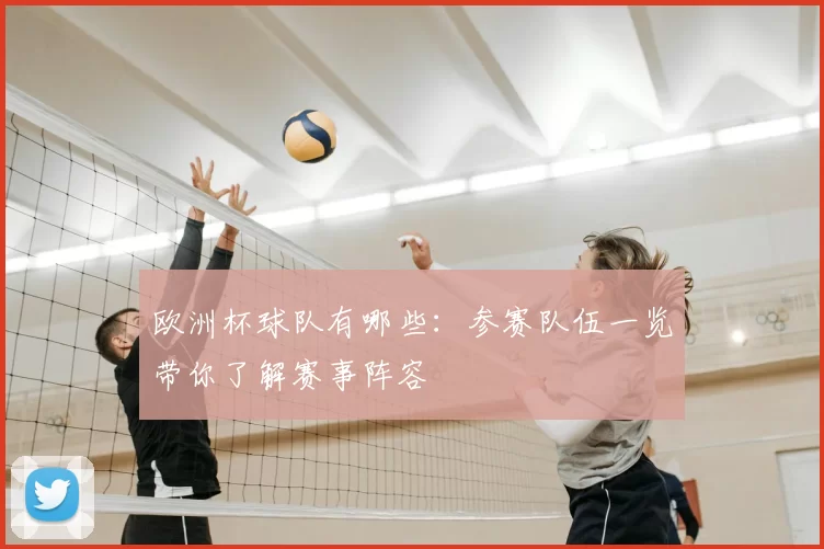 欧洲杯球队有哪些：参赛队伍一览带你了解赛事阵容