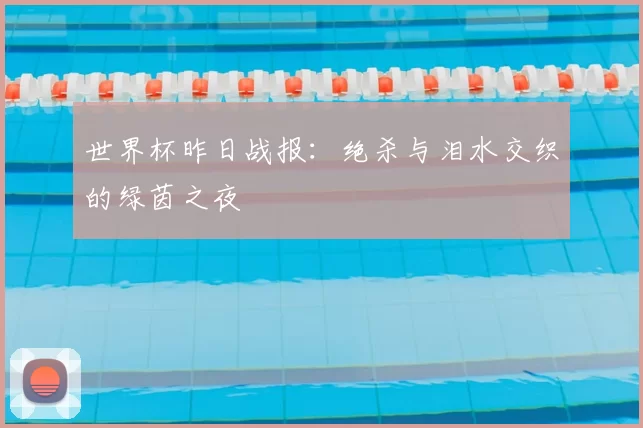世界杯昨日战报:绝杀与泪水交织的绿茵之夜