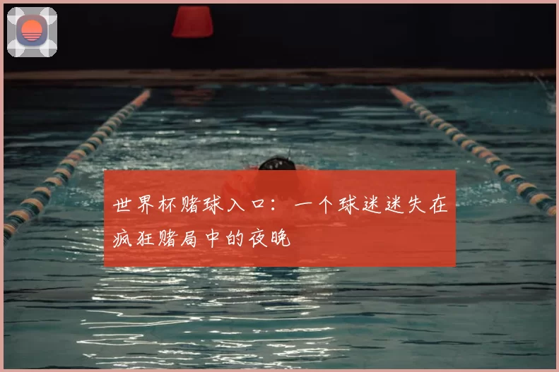 世界杯赌球入口：一个球迷迷失在疯狂赌局中的夜晚