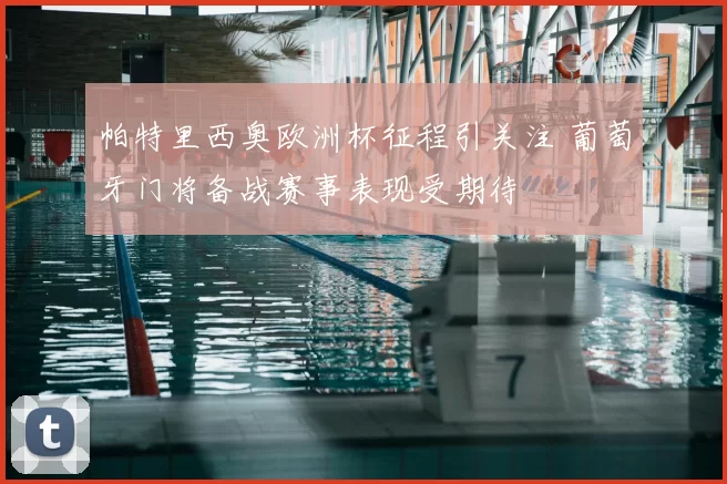 帕特里西奥欧洲杯征程引关注 葡萄牙门将备战赛事表现受期待